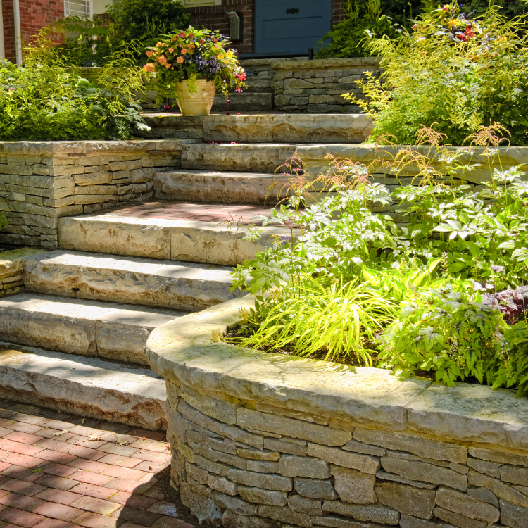Paradise Valley Landscaping