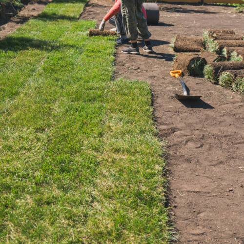 Paradise Valley Landscaping